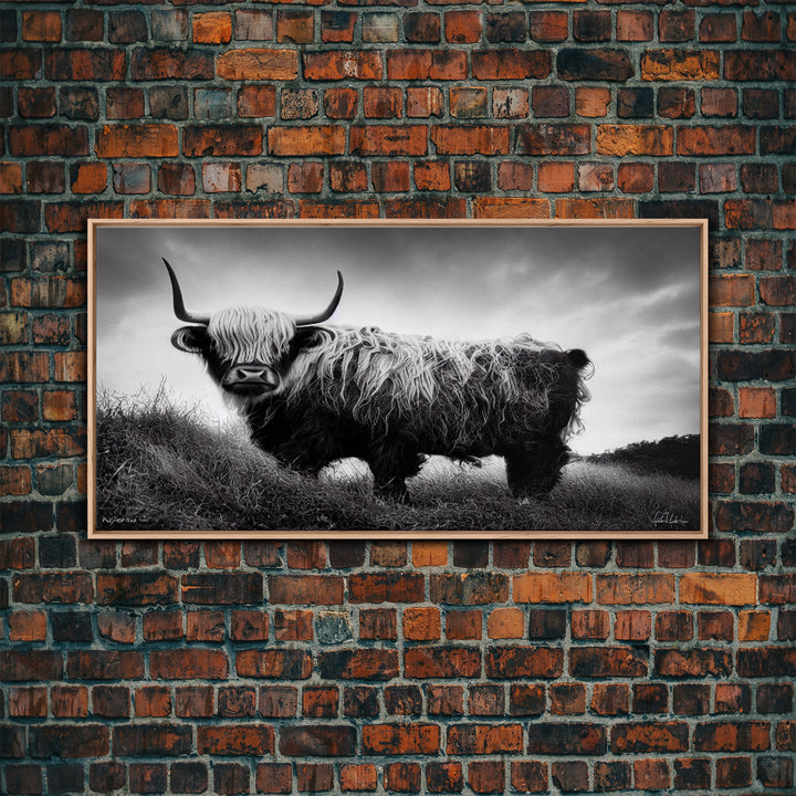 Highland cow, calf art, highland cow black and white watercolor, framed canvas print, bull wall art