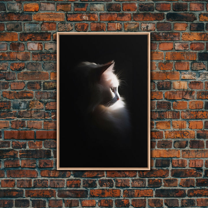 Portrait of a Beautiful Cat Sitting In The Sun, Framed Canvas Print, Cat Art, Cat Photography, Cat Wall Art