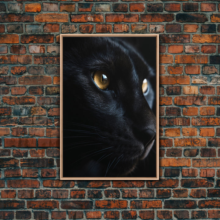 Beautiful Black Cat Portrait, Cat Photography, Framed Canvas Print, Framed Art, Halloween Witch Cat Art