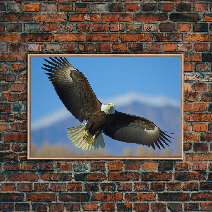 Eagle in a Mountain Clouds Canvas Wall Art Design, Framed Canvas Print Decor for Home & Office Decoration, CANVAS READY to Hang