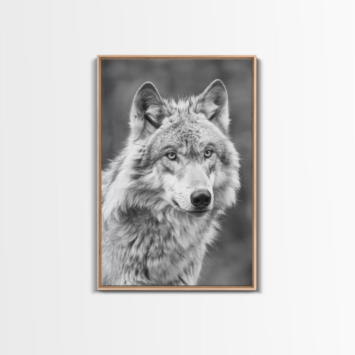 Wolf Portrait in Black and White Photography - Framed Canvas Print, Wildlife Photography, Rustic Wolf Art for Home Wall Decor