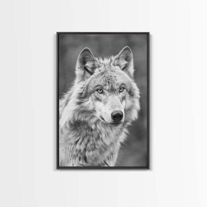 Wolf Portrait in Black and White Photography - Framed Canvas Print, Wildlife Photography, Rustic Wolf Art for Home Wall Decor