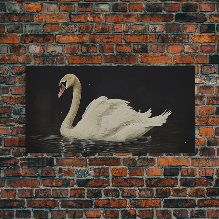 The Black Swan, Vintage Framed Canvas Art, Framed Vintage Print, Vintage Painting, Black Swan Art, Girls Room or Nursery print