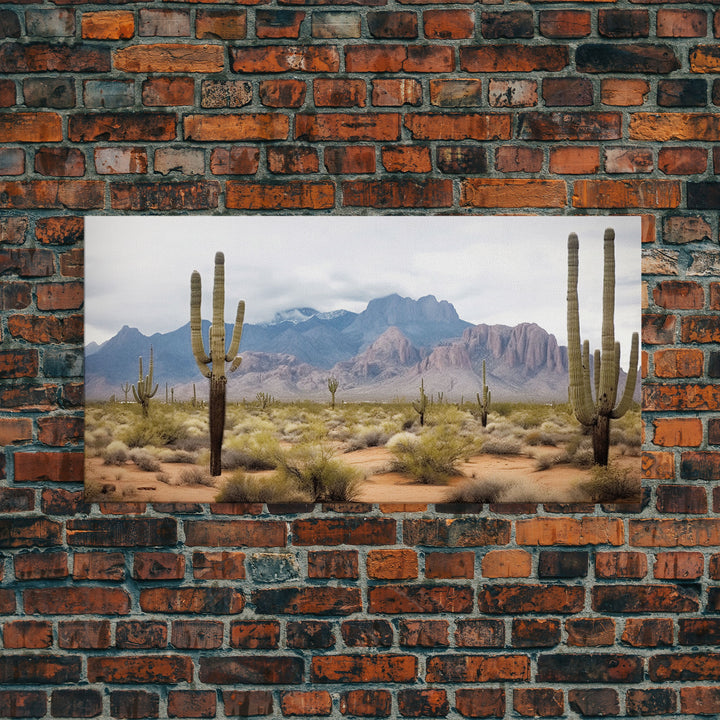 Desert Wall Art, Desert Decor, Framed Canvas Print, Desert Photography, Cactus Wall Art, Southwestern Decor, Landscape Prints, Boho Wall Art