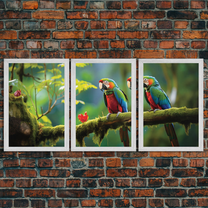 Tropical Wall Art, Bird Art Print, Animal Art, Jungle Print, Canvas Print, Wall Art, 3 Piece Wall Art, Gift For Boss, College Dorm Decor