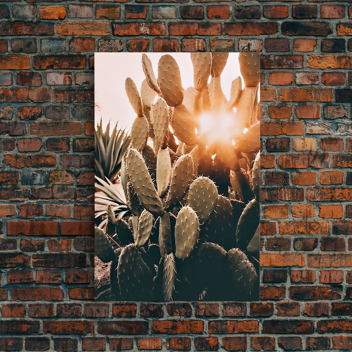 Sunlight Peaking Through A Cactus, Framed Canvas Wall Art Cactus Desert Landscape Arizona Photography Print Minimalist Modern Western Art