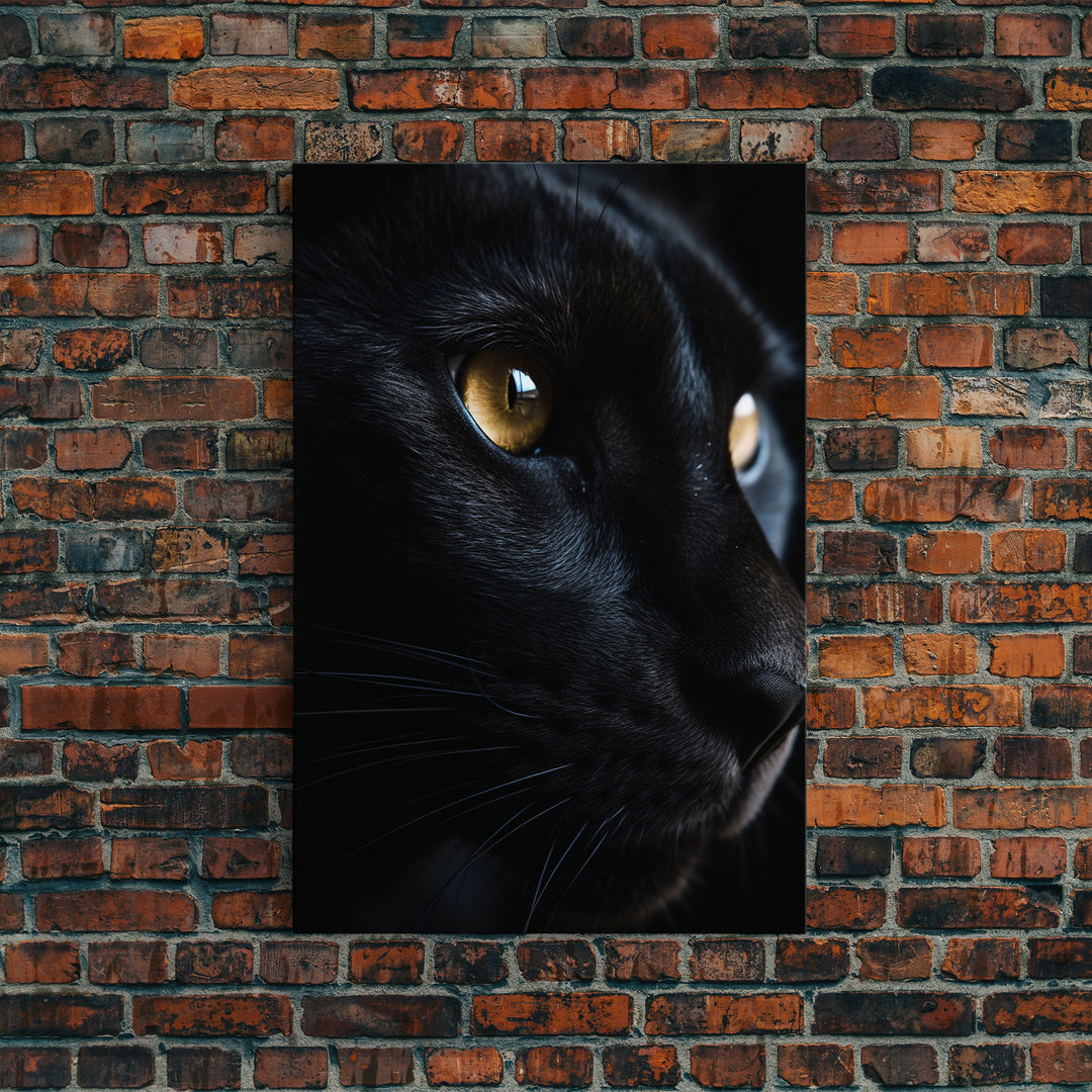 Beautiful Black Cat Portrait, Cat Photography, Framed Canvas Print, Framed Art, Halloween Witch Cat Art