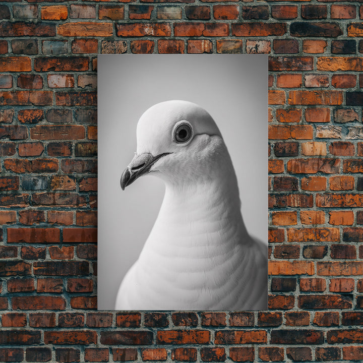 Pigeon Wall Art, Animal Wall Decor, Bird Wall Art, Black And White Art, Minimalist Print, Wall Decor, Canvas Print, Wall Art, Framed Canvas