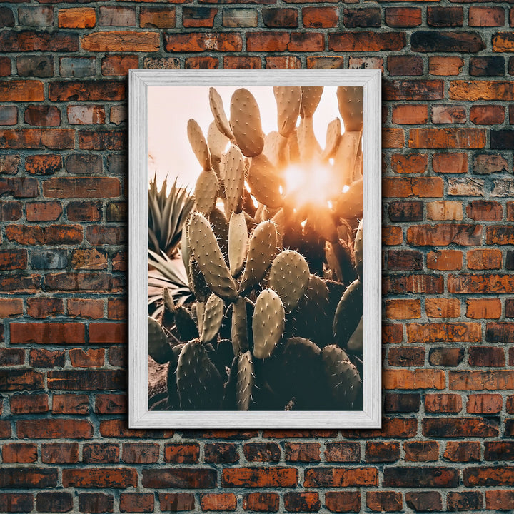 Sunlight Peaking Through A Cactus, Framed Canvas Wall Art Cactus Desert Landscape Arizona Photography Print Minimalist Modern Western Art