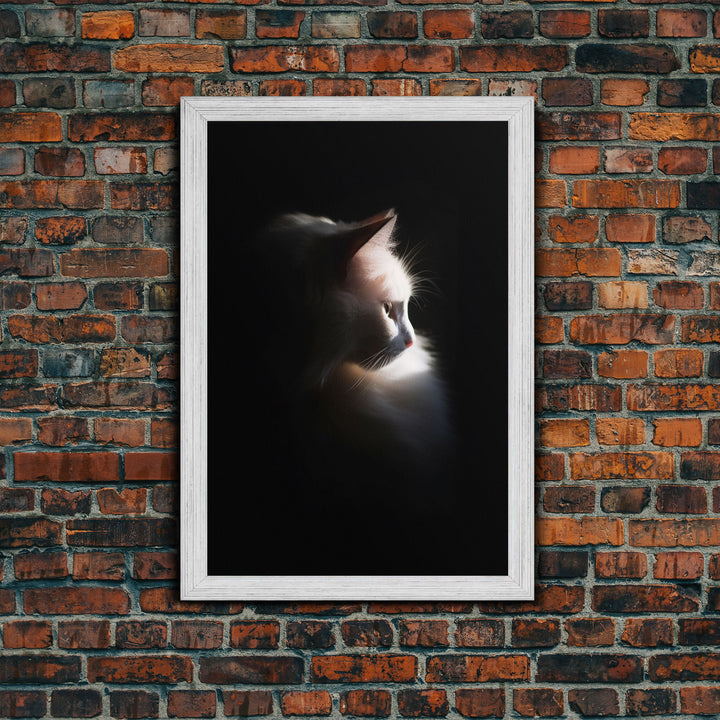 Portrait of a Beautiful Cat Sitting In The Sun, Framed Canvas Print, Cat Art, Cat Photography, Cat Wall Art