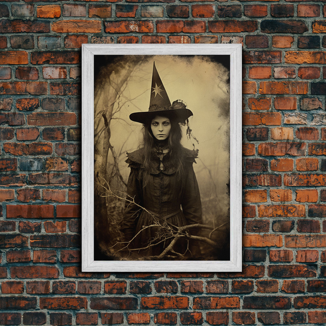 Witchy Art, Portrait of a Victorian Witch, Daguerreotype, Framed Canvas Print, Halloween Wall Art, Halloween Canvas, Fall Decor