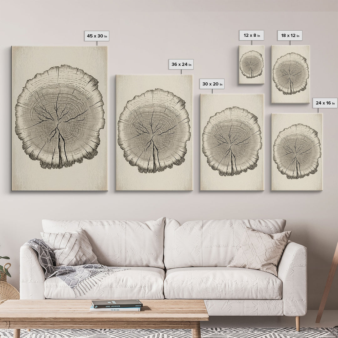 Framed Wall Art Canvas Print, Tree Cross Section, Tree Rings, Rustic Art, Farmhouse Decor, Oak Wood Tree Rings, Illustration, Gift For Him