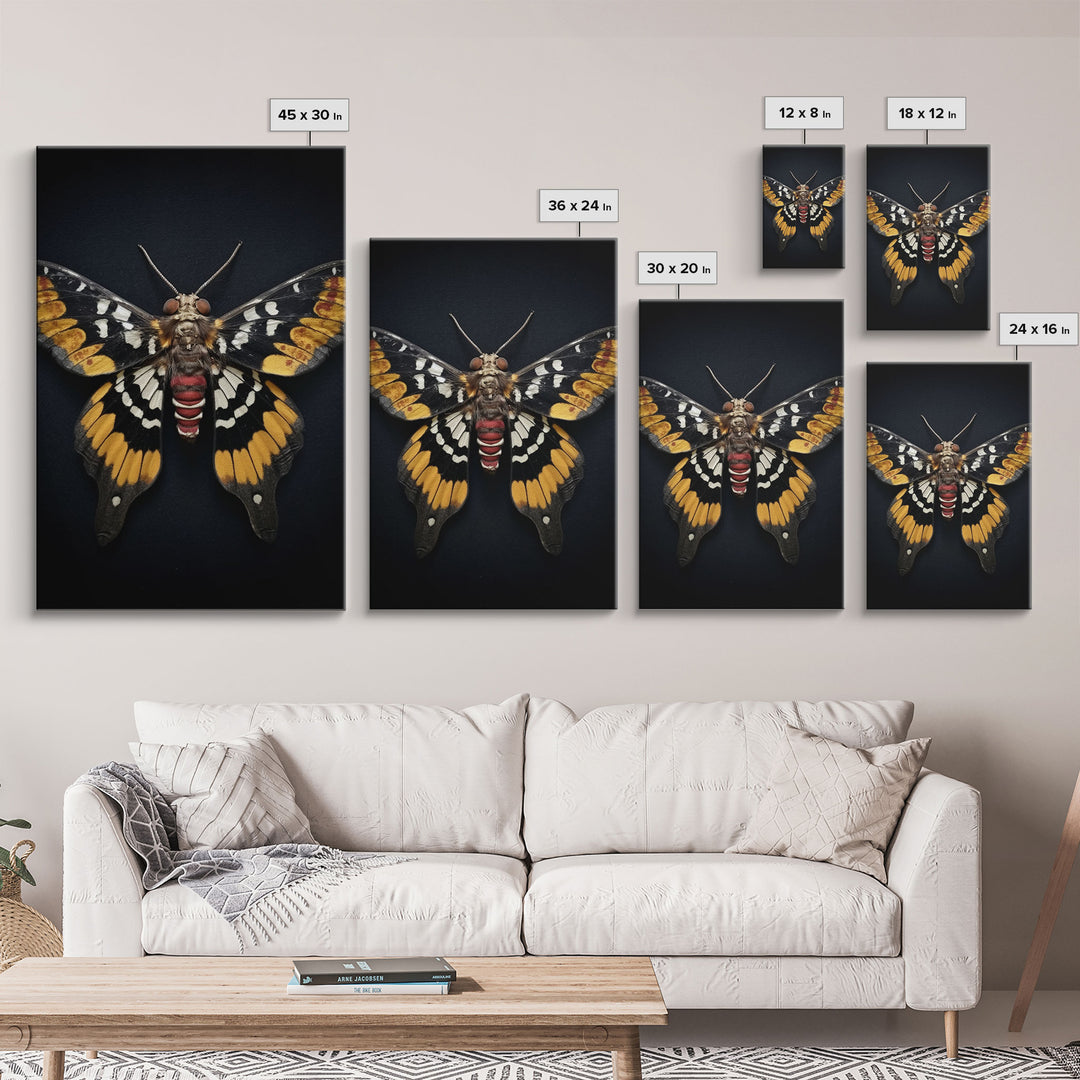 Framed Death Head Moth Canvas Print, Acherontia, Taxidermy Art, Dried Butterfly Print, Bug Wall Art Hanging Decor, Goth Art, Halloween Art