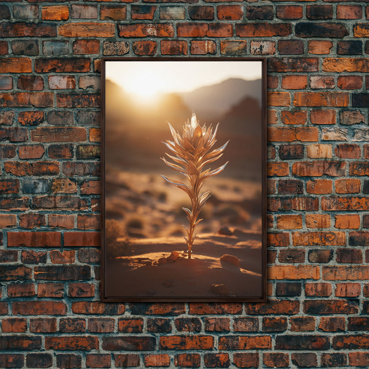 Sunlight Over A Desert Rose, Framed Canvas Wall Art Cactus Desert Landscape Arizona Photography Print Minimalist Modern Western Art