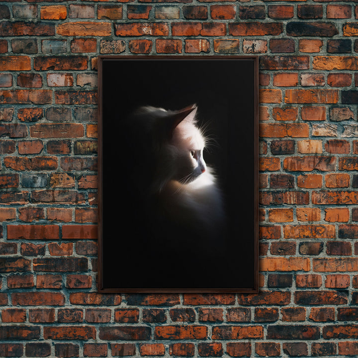 Portrait of a Beautiful Cat Sitting In The Sun, Framed Canvas Print, Cat Art, Cat Photography, Cat Wall Art