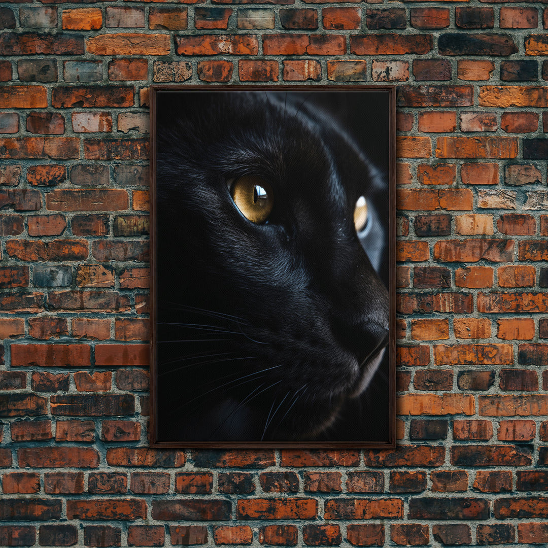 Beautiful Black Cat Portrait, Cat Photography, Framed Canvas Print, Framed Art, Halloween Witch Cat Art