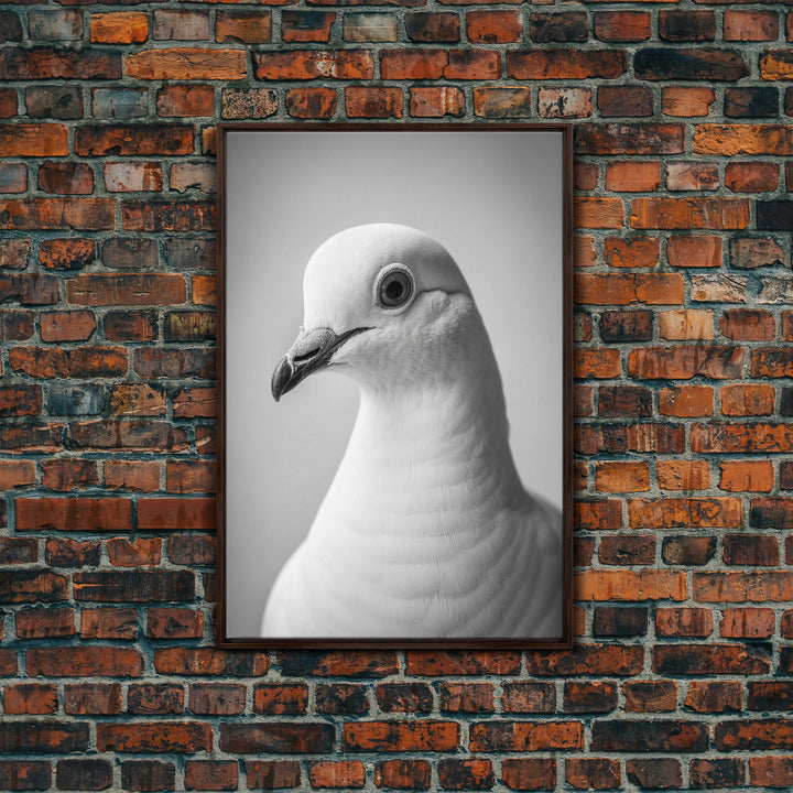 Pigeon Wall Art, Animal Wall Decor, Bird Wall Art, Black And White Art, Minimalist Print, Wall Decor, Canvas Print, Wall Art, Framed Canvas