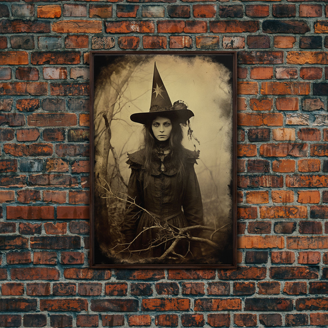 Witchy Art, Portrait of a Victorian Witch, Daguerreotype, Framed Canvas Print, Halloween Wall Art, Halloween Canvas, Fall Decor