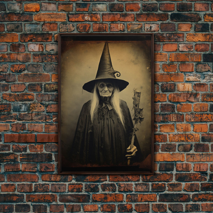 The Old Witch Portrait, Witchy Art, Portrait of a Victorian Witch, Daguerreotype, Framed Canvas Print, Halloween Wall Art, Halloween Canvas