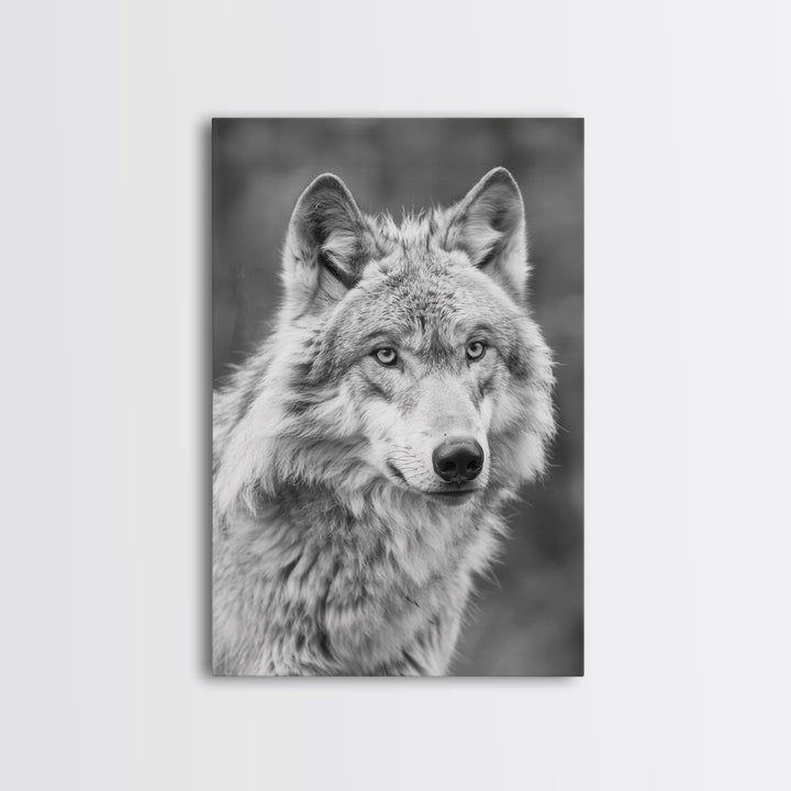 Wolf Portrait in Black and White Photography - Framed Canvas Print, Wildlife Photography, Rustic Wolf Art for Home Wall Decor