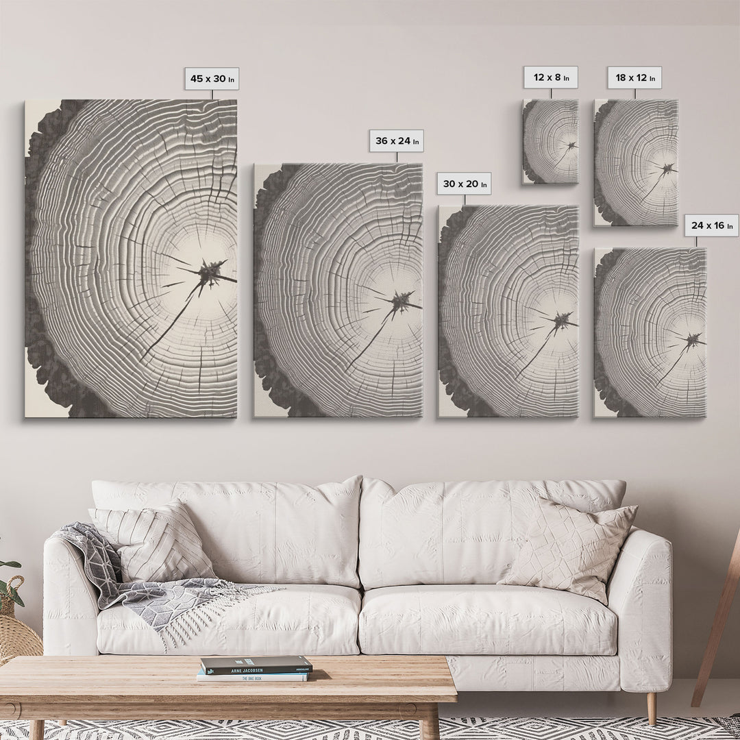 Boho Framed Canvas Wall Art Set, Wood Tree Rings Abstract Illustrations Prints Modern Art, Minimalist Neutral Boho Decor, Charcoal Sketch