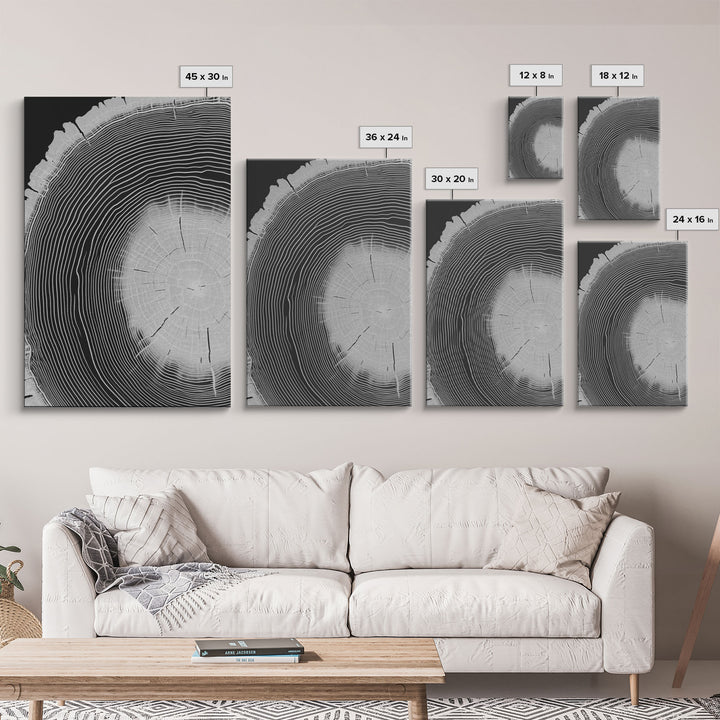 Tree Ring Prints, Lake House Large Wall Art, Boho Art, Minimalist, Farmhouse Art