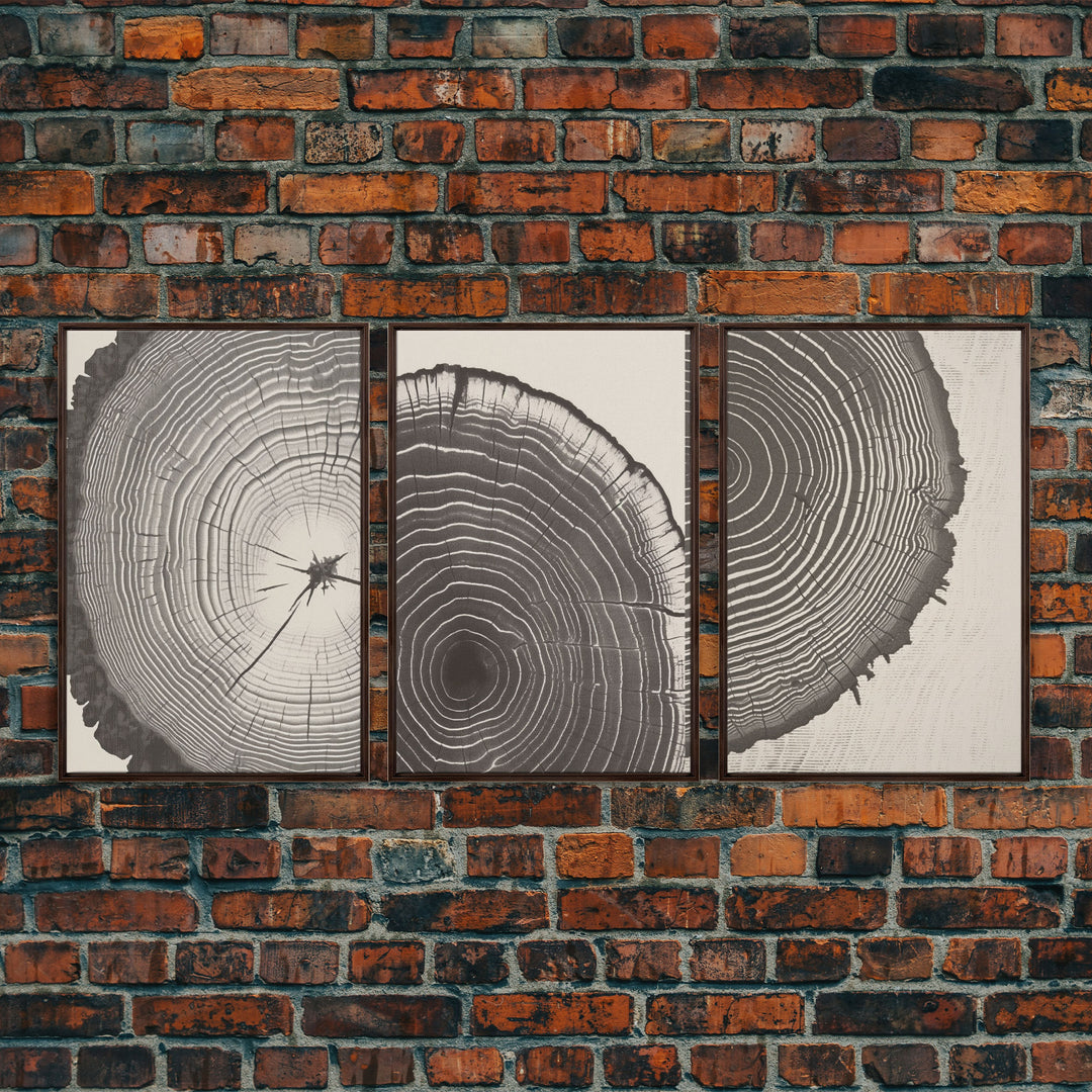 Boho Framed Canvas Wall Art Set, Wood Tree Rings Abstract Illustrations Prints Modern Art, Minimalist Neutral Boho Decor, Charcoal Sketch