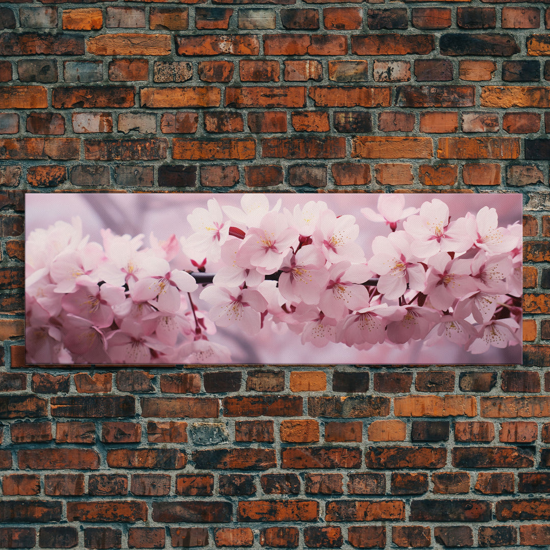 Cherry Blossoms In The Spring, Framed Canvas Print, Photography Print, Panoramic Wall Art, Above Sofa Decor