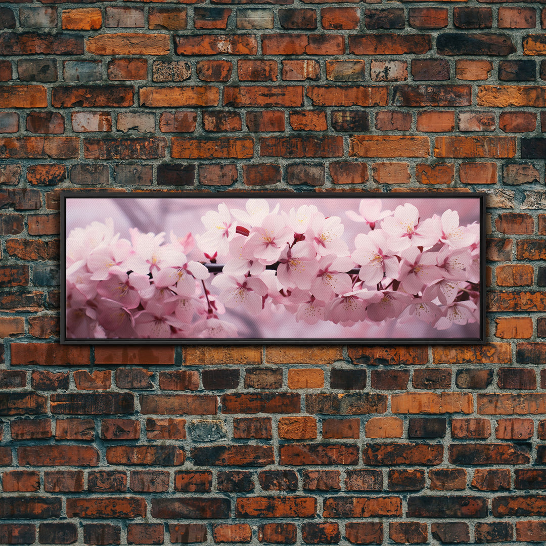 Cherry Blossoms In The Spring, Framed Canvas Print, Photography Print, Panoramic Wall Art, Above Sofa Decor