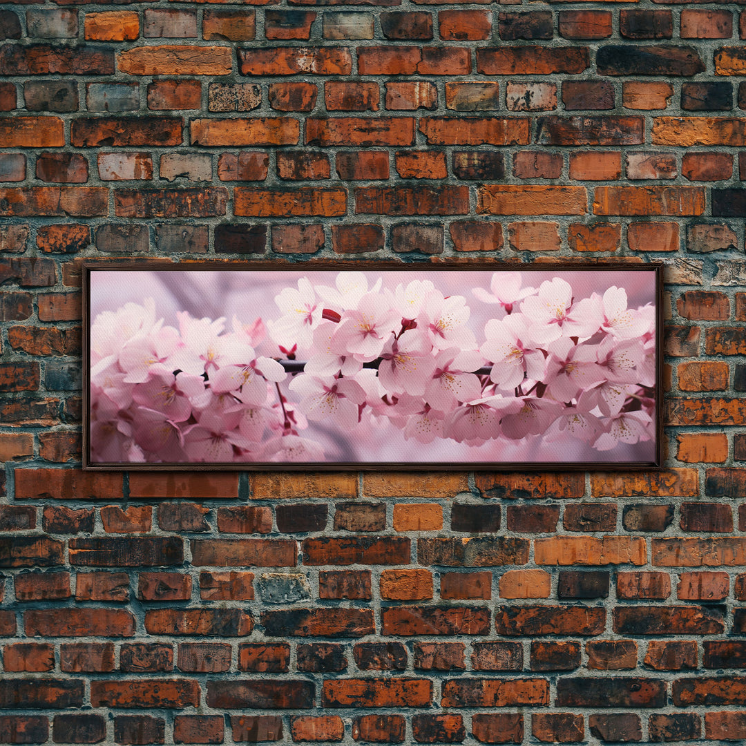 Cherry Blossoms In The Spring, Framed Canvas Print, Photography Print, Panoramic Wall Art, Above Sofa Decor