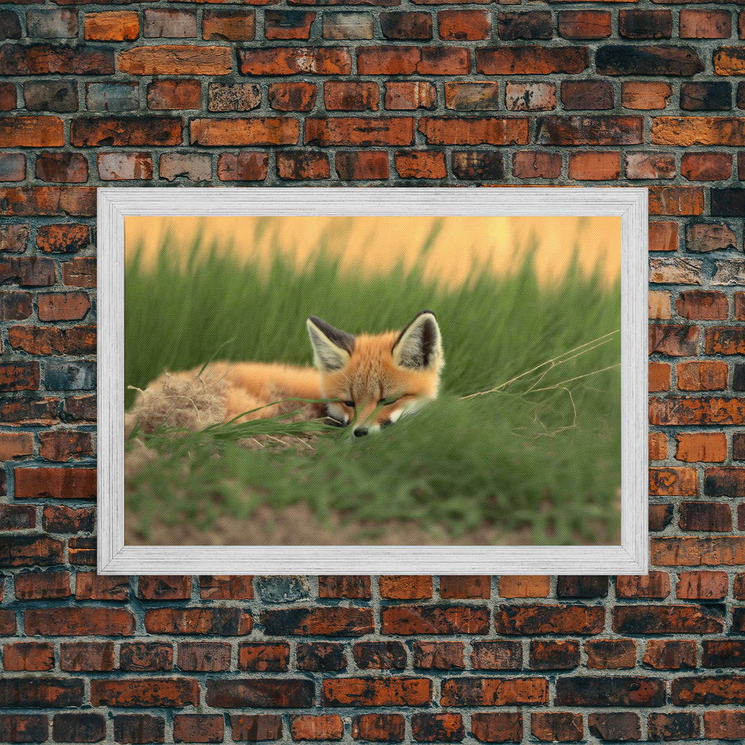 Cute Sleeping fox Framed Canvas Wall Art, Canvas Print Decor for Home & Office Decoration Canvas Ready to Hang