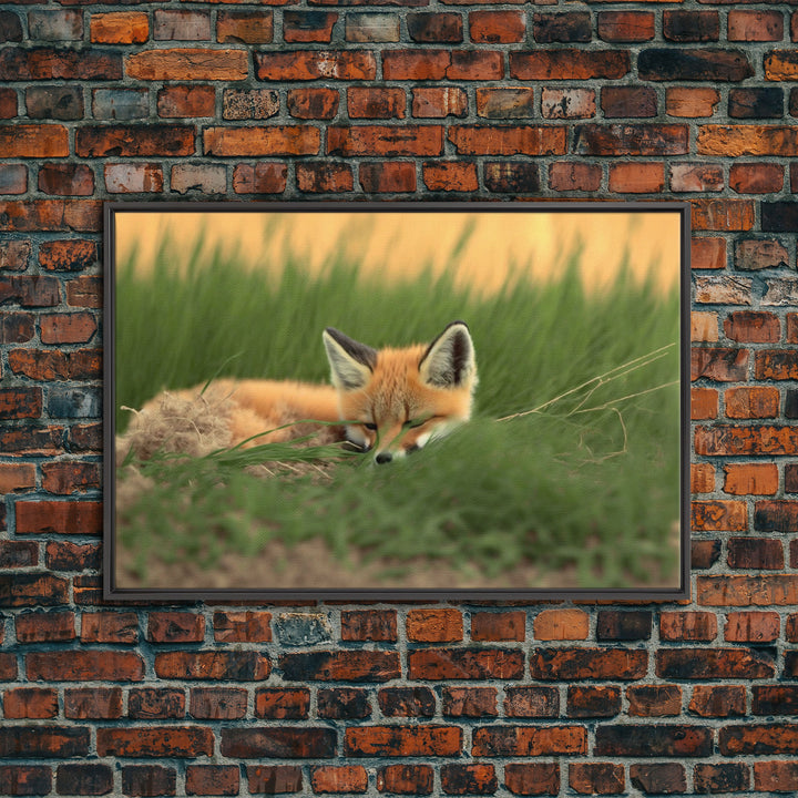 Cute Sleeping fox Framed Canvas Wall Art, Canvas Print Decor for Home & Office Decoration Canvas Ready to Hang