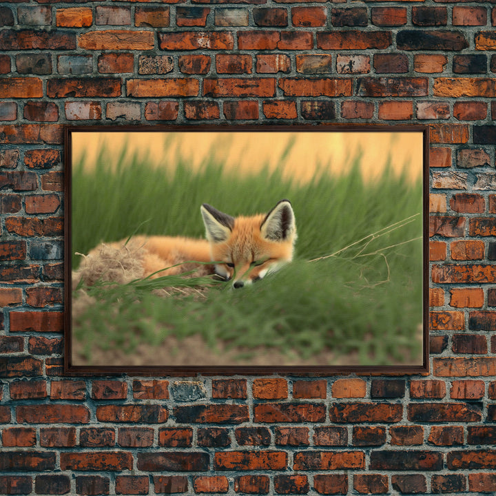 Cute Sleeping fox Framed Canvas Wall Art, Canvas Print Decor for Home & Office Decoration Canvas Ready to Hang