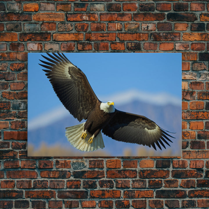 Eagle in a Mountain Clouds Canvas Wall Art Design, Framed Canvas Print Decor for Home & Office Decoration, CANVAS READY to Hang