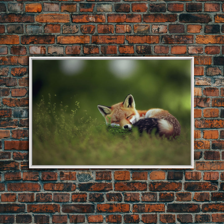 Cute Sleepy Fox Art, Animal Prints, Nature Art, Framed Canvas Print, Cute animal wall art, above sofa art