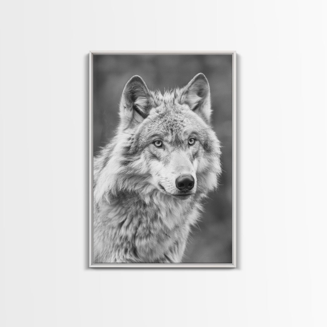 Wolf Portrait in Black and White Photography - Framed Canvas Print, Wildlife Photography, Rustic Wolf Art for Home Wall Decor