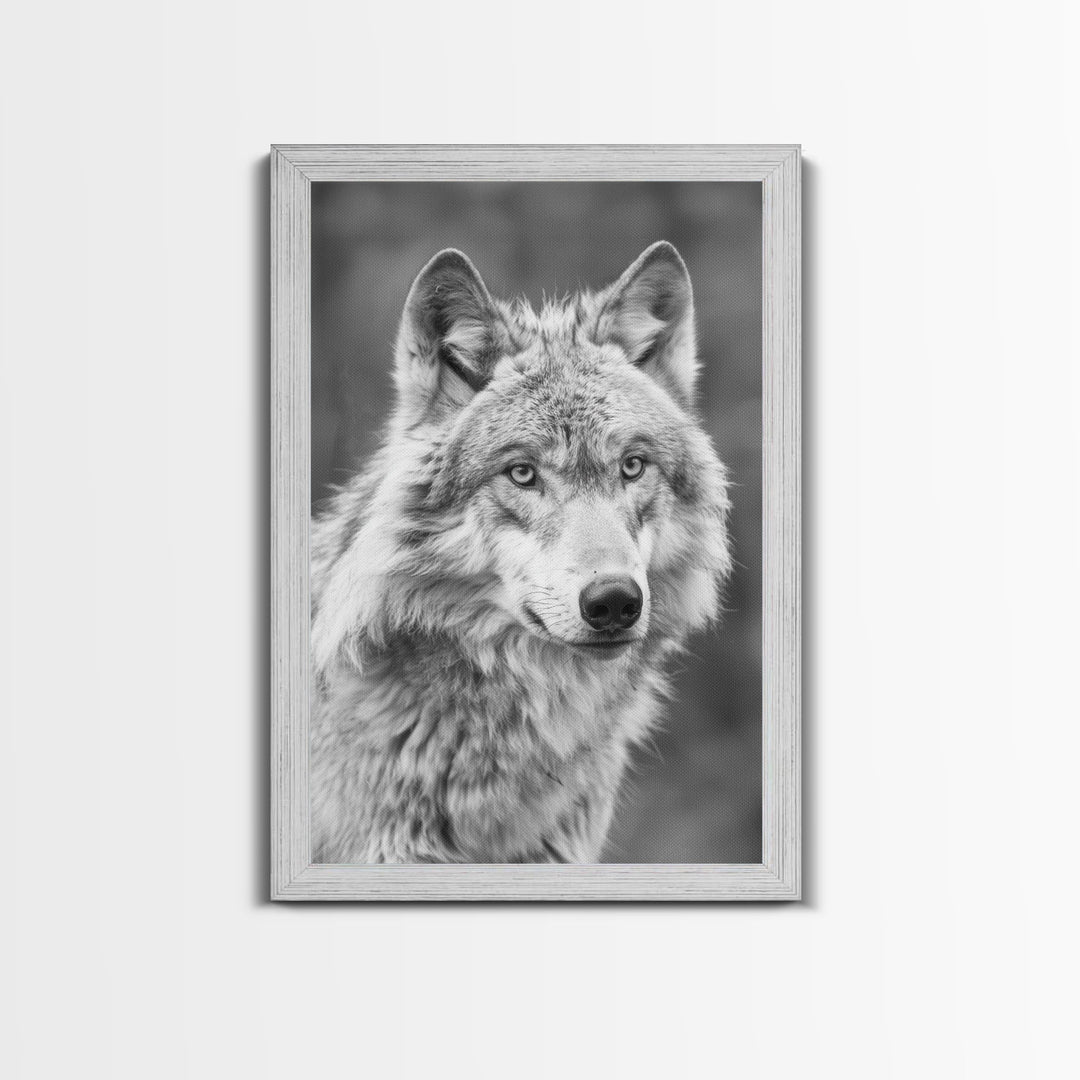 Wolf Portrait in Black and White Photography - Framed Canvas Print, Wildlife Photography, Rustic Wolf Art for Home Wall Decor