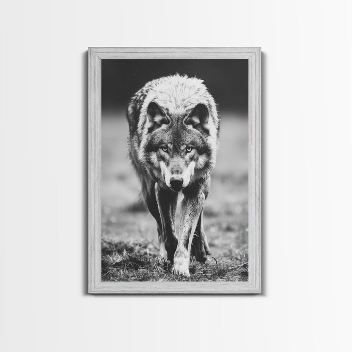 Majestic Wolf Black and White Art Print - Framed Canvas Wall Decor, Wildlife Art for Living Room, Rustic Animal Wall Art for Home