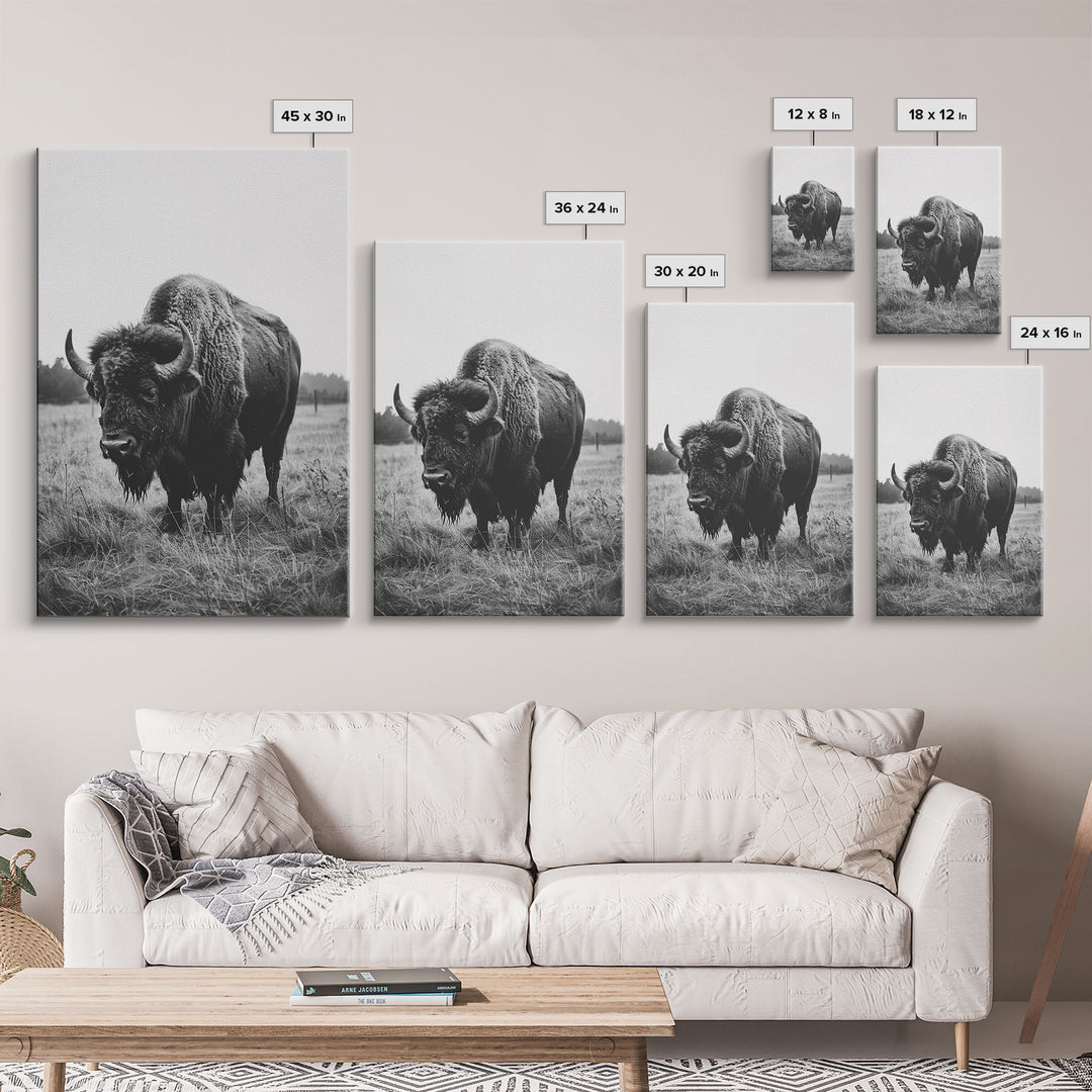 Majestic Bison in Black and White Photography - Framed Canvas Print, Wildlife Photography, Rustic Bison Art for Home Decor