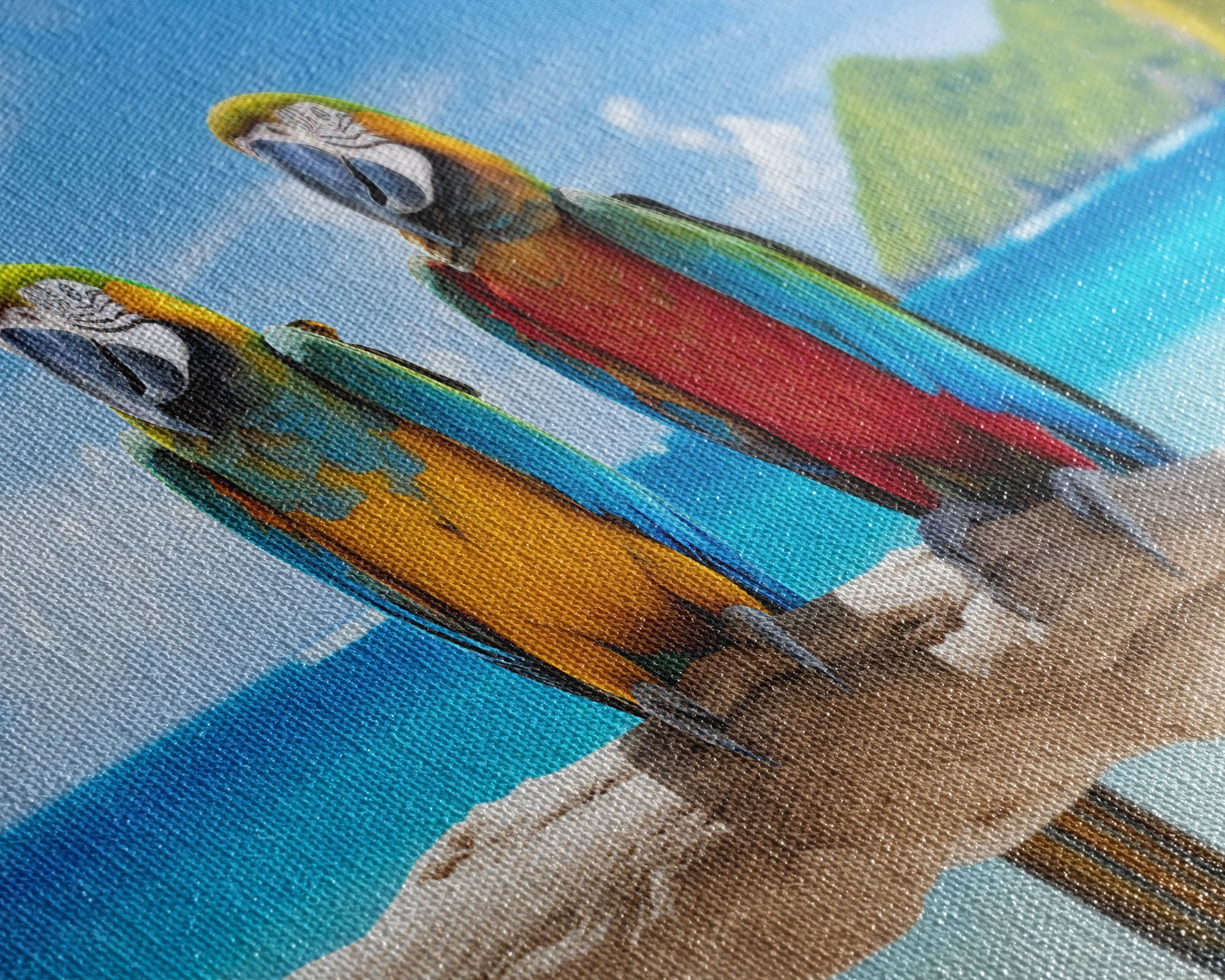 Macaw, Bird Print, Tropical Bird Print, Tropical Art Print, Panoramic Art, Wall Art, Canvas Art, Landscape Art, Landscape Print, Home Decor