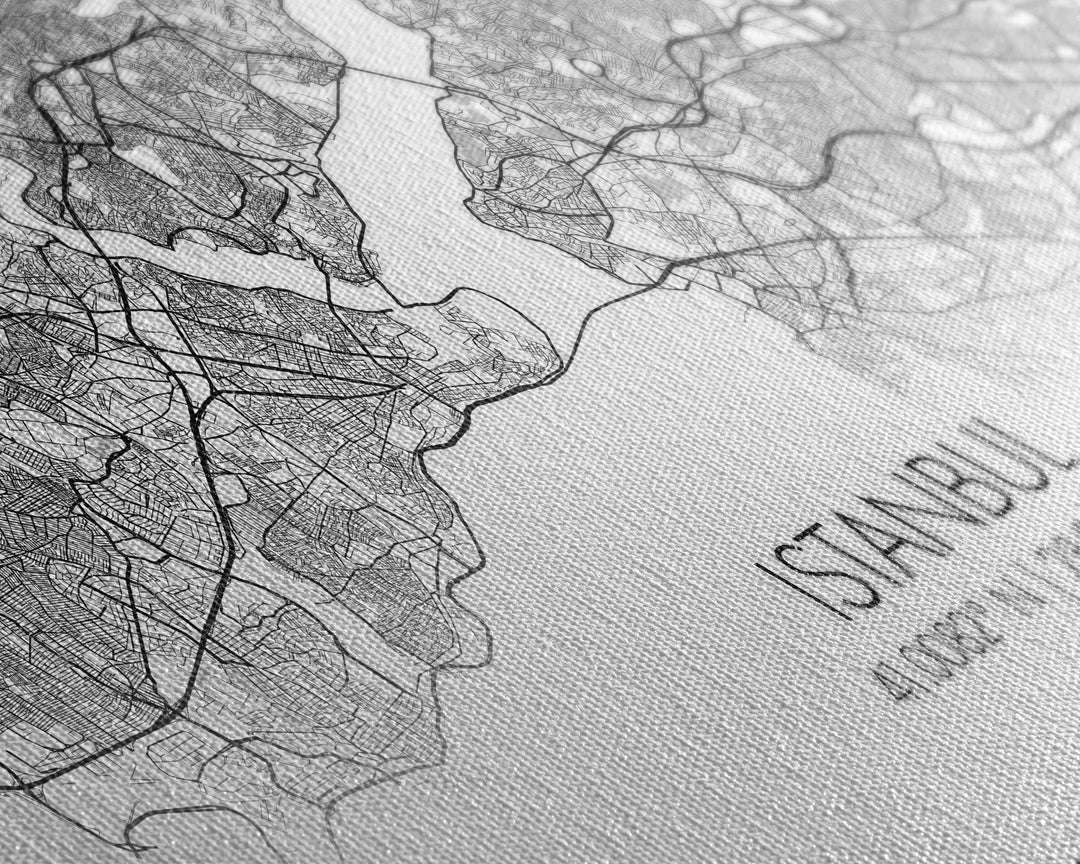 Istanbul City Map, Turkey Map, Map Art, Modern Art, Wall Art, Canvas Art, Travel Art, Best Friend Gift, Family Wall Art, Wall Décor