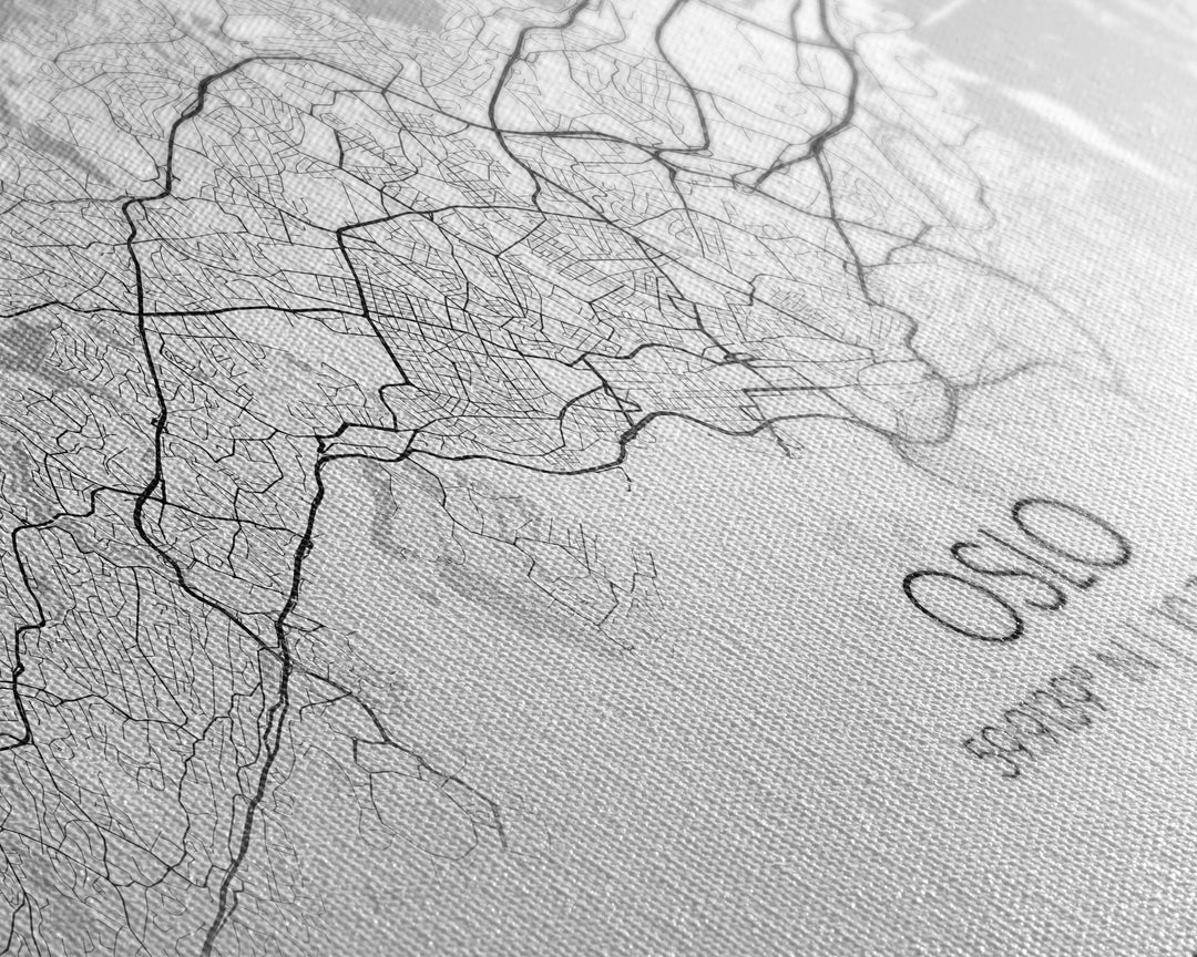 Oslo City Map, Norway Art, Map Print, Minimalist Wall Art, Wall Art, Canvas Art, Travel Wall Art, Hiking Gift, European Wall Art, Office Art