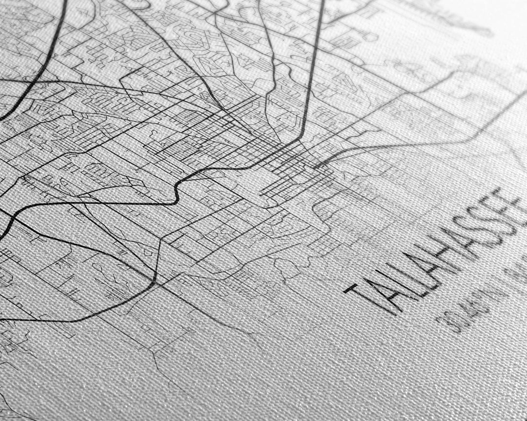 Tallahassee City Map, Florida Art, Map Print, Modern Wall Art, Wall Art, Canvas Art, Teen Boy Wall Art, Going Away Gift, Office Wall Décor