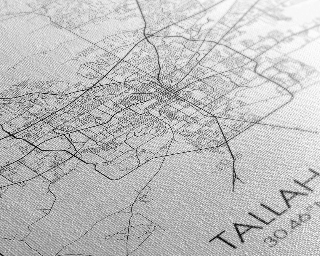 Tallahassee Street Map, Florida Map, City Map Print, Modern Wall Art, Wall Art, Canvas Print, Wall Art Canvas, Gift For Women, Travel Print