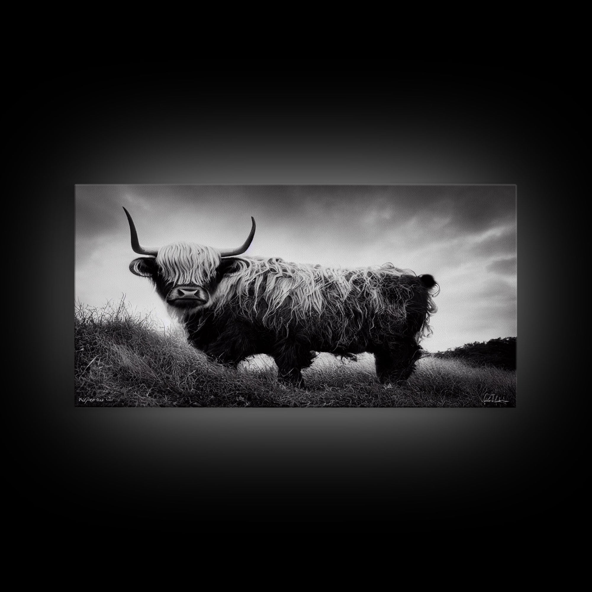 Highland cow, calf art, highland cow black and white watercolor, framed canvas print, bull wall art