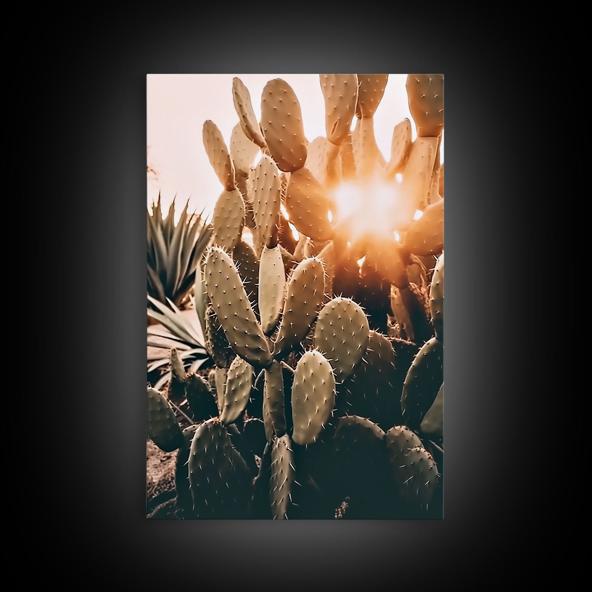 Sunlight Peaking Through A Cactus, Framed Canvas Wall Art Cactus Desert Landscape Arizona Photography Print Minimalist Modern Western Art