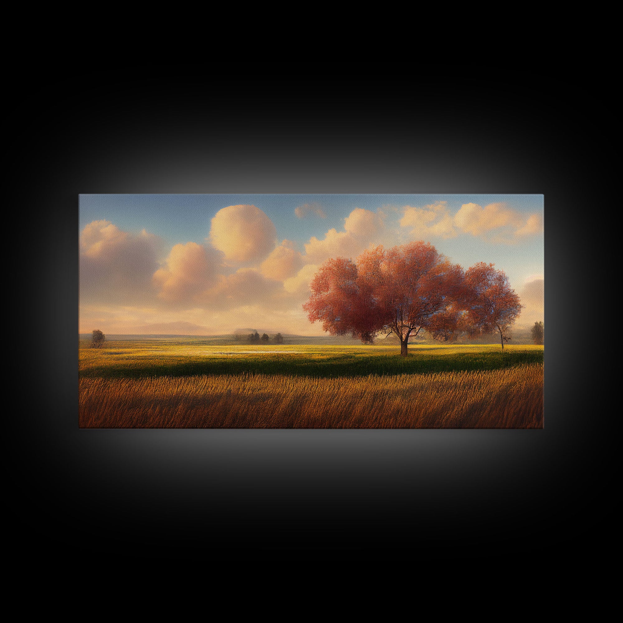 A lone tree in a Texas field, Canvas print, Texan art, Prairies, fields and grass