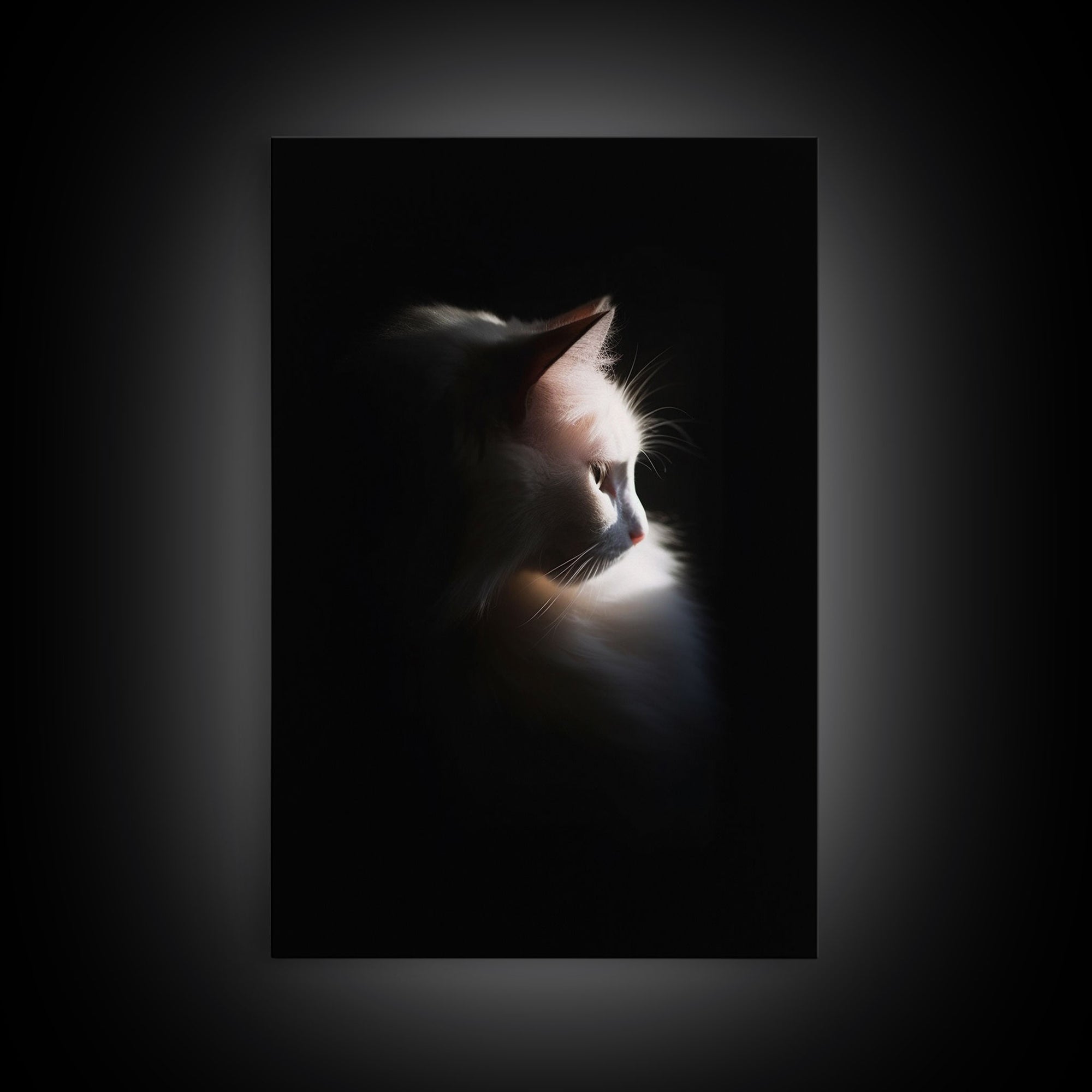 Portrait of a Beautiful Cat Sitting In The Sun, Framed Canvas Print, Cat Art, Cat Photography, Cat Wall Art