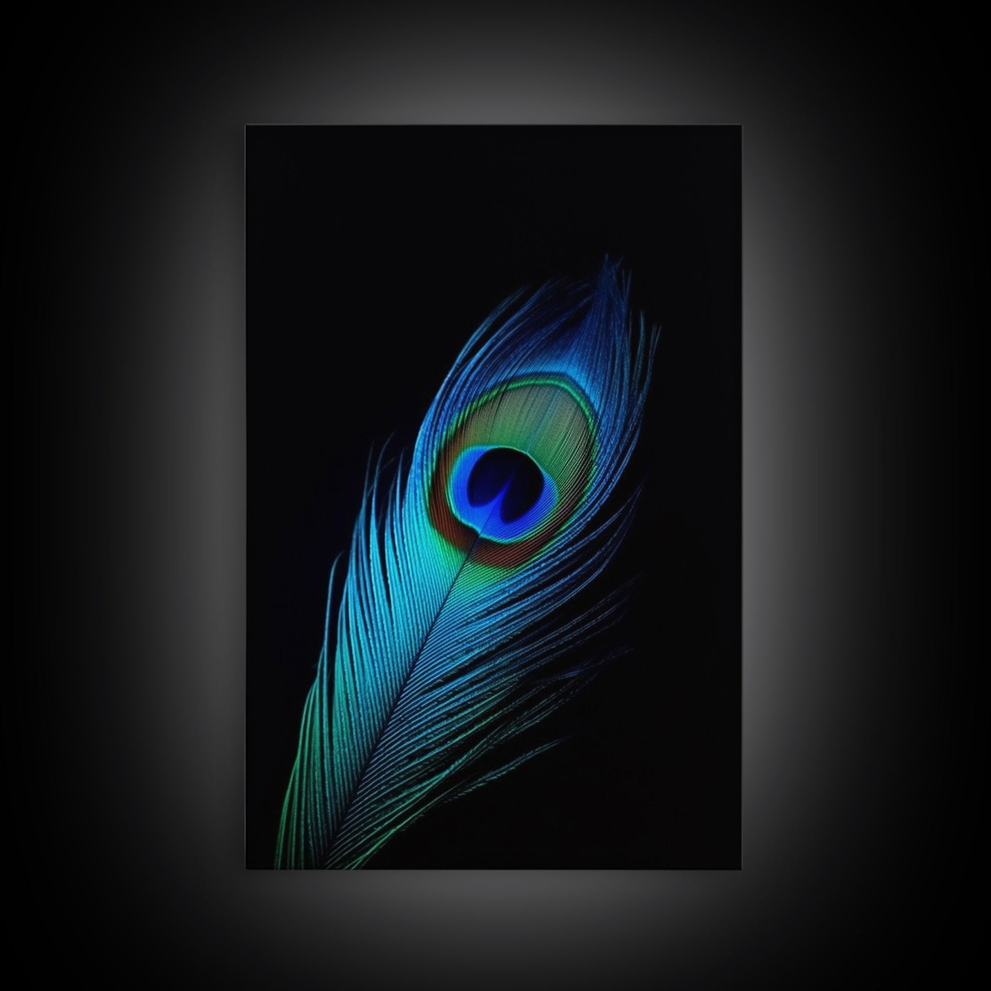 A Lone Peacock Feather, Framed Canvas Print, Feather Photography, Beautiful & Colorful Peacock Art