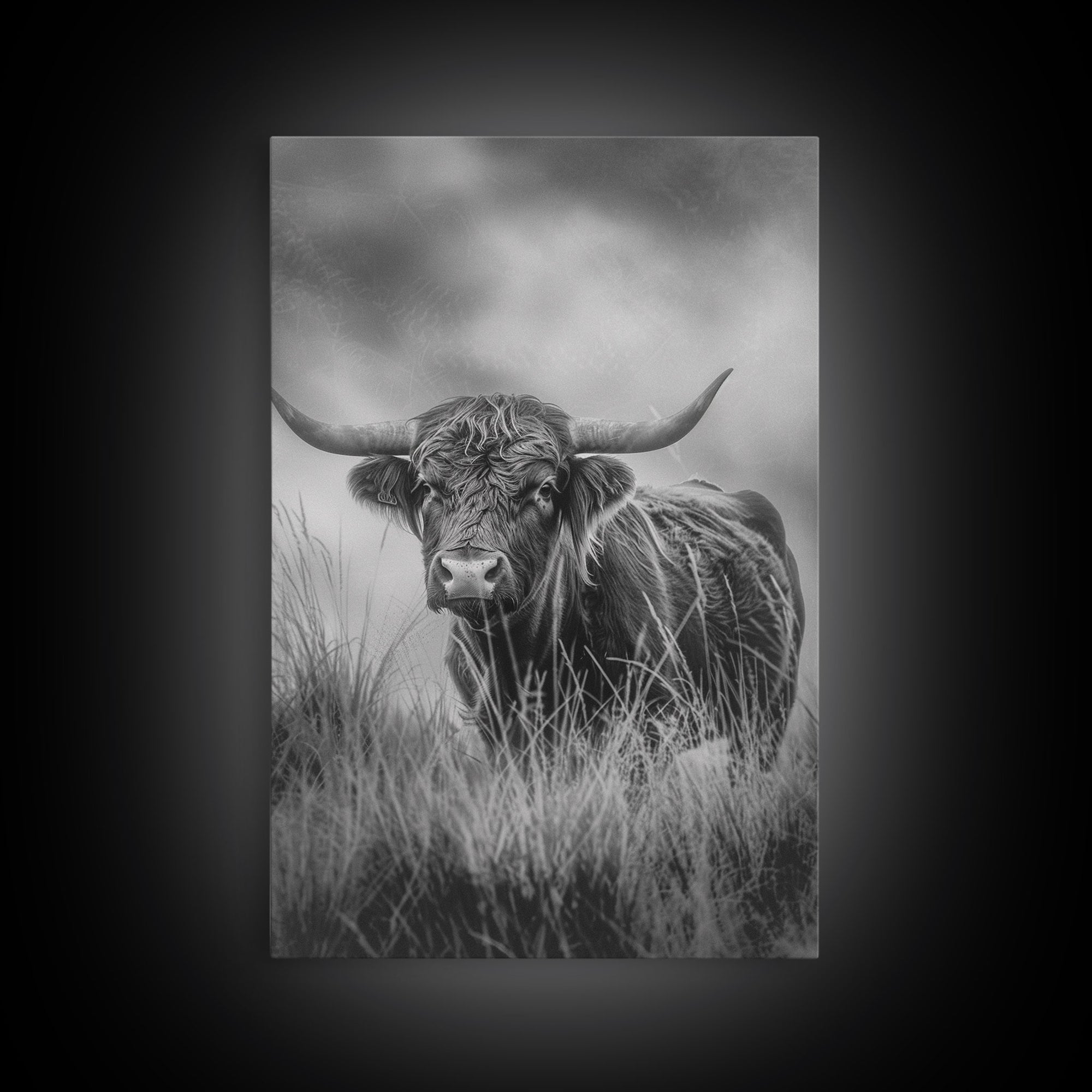 longhorn cow in field, black and white Western decor, rustic home art, Framed Canvas Print, vintage wall art for living room or bedroom